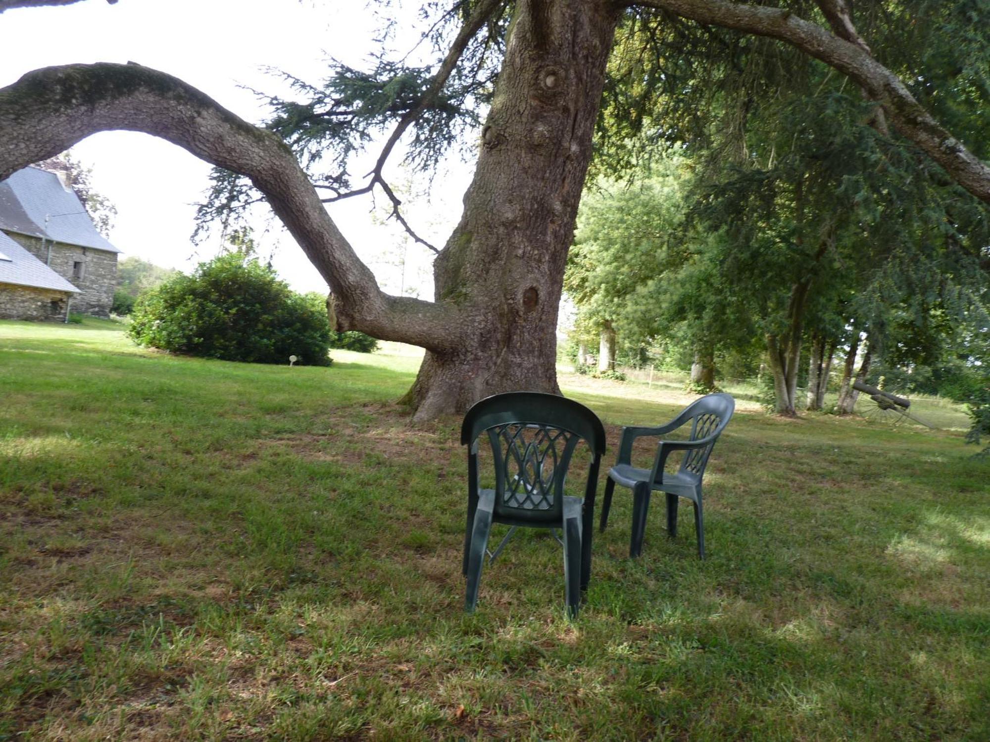Chateau De Craon Comblessac Eksteriør bilde
